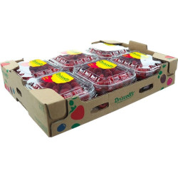 FRAMBOISE DRISCOLLS 12X125G